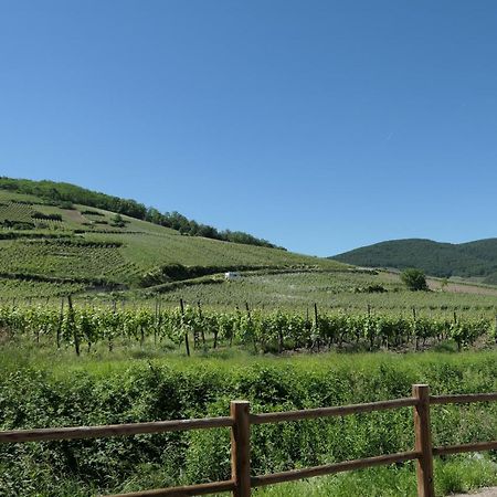 Au Petit Paradis Ammerschwihr Eksteriør bilde